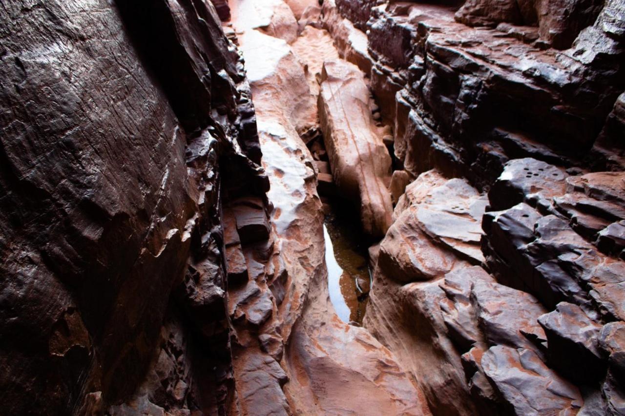Hotel Quite Bedouin Life Wadi Rum Exterior foto